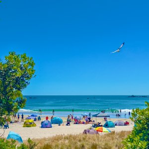 mount summer umbrellas.jpg