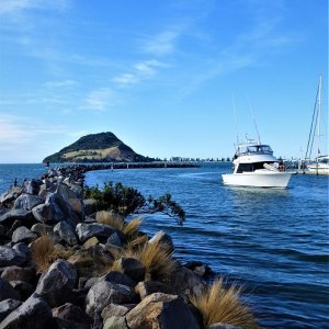 Harbour Views